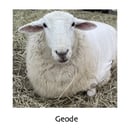 Image 3 of Ephraim & Geode - bulky