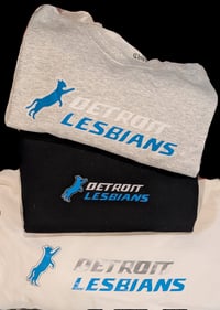 Image 9 of Detroit Lesbians - Lions lookalike Hoodie