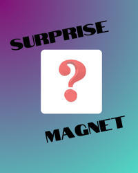 Surprise magnet