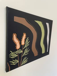 Image 3 of “Grevillea”