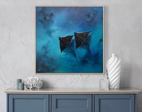 Image 1 of Signed Limited Art Print ‘Spotted Rays’