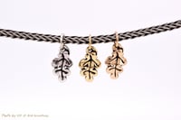 Image 5 of Oak Leaves