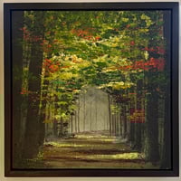 Image 1 of 'Woodland Wanderings'