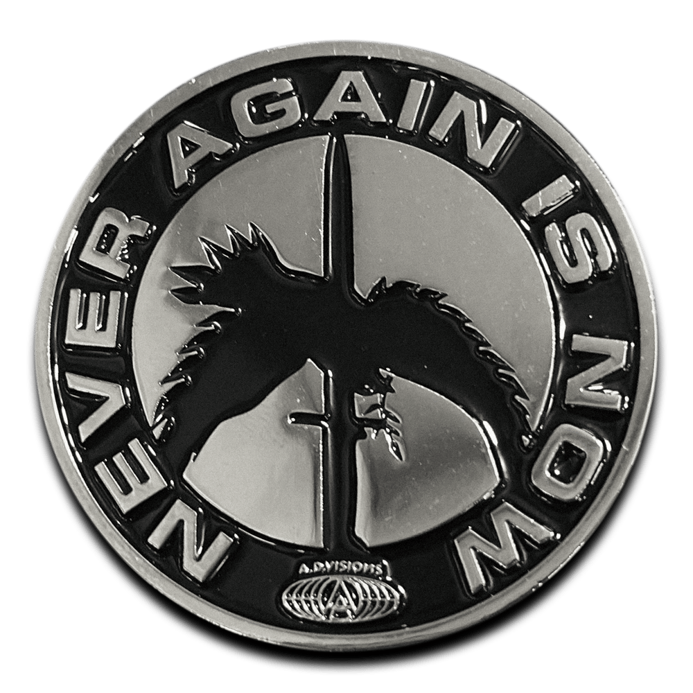 "NEVER AGAIN" PIN