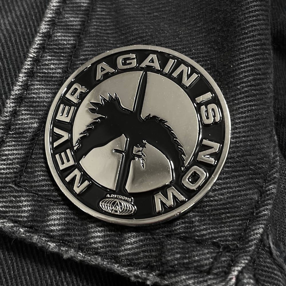 "NEVER AGAIN" PIN