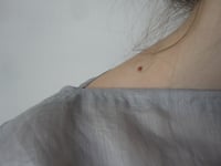 Image 5 of vegan silk (ramie) TOP // short sleeve, boat neck