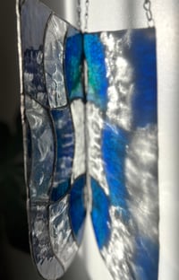 Image 2 of Vitrail Plant Propagation Blueberry 🫐