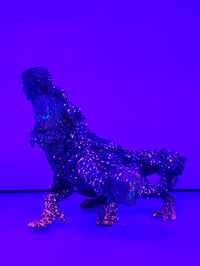 Image 8 of Ocular Rhombus x Zimot - Harkonnen Hydra