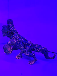 Image 9 of Ocular Rhombus x Zimot - Harkonnen Hydra
