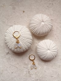 Image 3 of BO #6 ~ EMMY MOA 