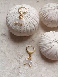 Image 1 of BO #6 ~ EMMY MOA 