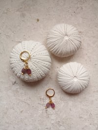 Image 1 of BO #7 ~ EMMY MOA 