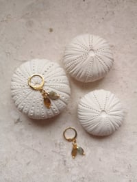 Image 1 of BO #8 ~ EMMY MOA 