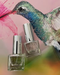 Image 1 of So Sweet! Duo