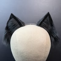 Image 1 of Black Kitten Ears Headband