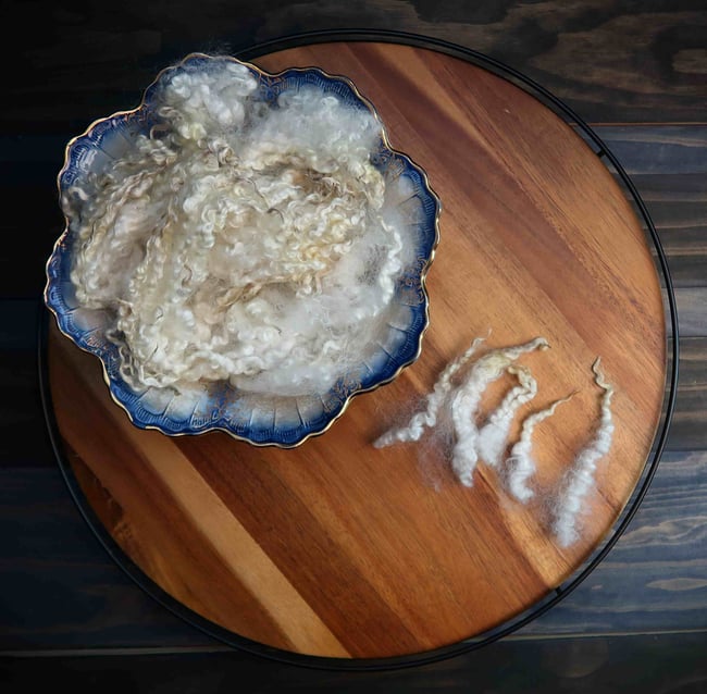 Bluefaced Leicester, Coopworth, and Teeswater Cross - Washed Fleece