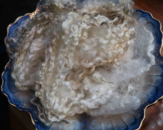 Bluefaced Leicester, Coopworth, and Teeswater Cross - Washed Fleece