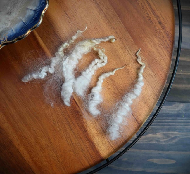 Bluefaced Leicester, Coopworth, and Teeswater Cross - Washed Fleece