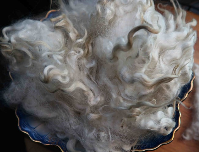 Lincoln Longwool - Washed Fleece