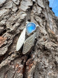 Image 2 of Moonstone cicada size 5.75