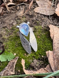 Image 1 of Moonstone cicada size 5.75