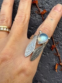 Image 4 of Moonstone cicada size 5.75