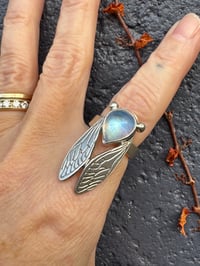 Image 7 of Moonstone cicada size 5.75