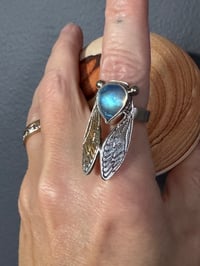 Image 8 of Moonstone cicada size 5.75