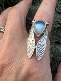 Image 9 of Moonstone cicada size 5.75