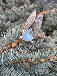 Image 10 of Moonstone cicada size 5.75