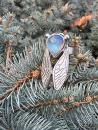 Image 11 of Moonstone cicada size 5.75