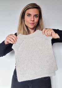 Image 1 of Col Ziggy PDF