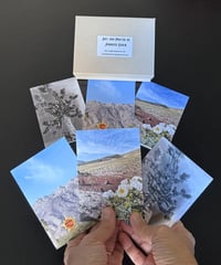 'Desert' - Photo Note Cards