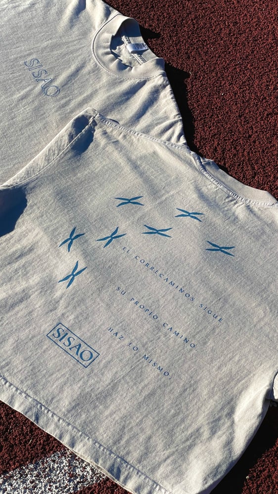 Image of ROADRUNNER CROP TOP