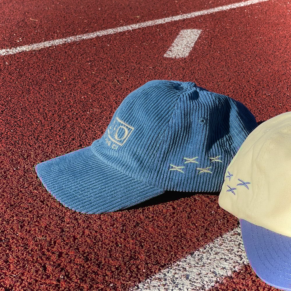 Image of ROADRUNNER DAD HAT