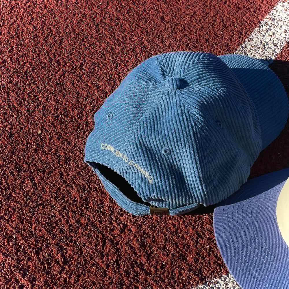 Image of ROADRUNNER DAD HAT