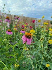 Image 3 of Wildflower Garden - 12” X 18” Canvas Print