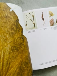 Image 5 of Three Becomes Two Becomes One Becomes None by LEONIE BRANDNER