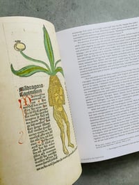 Image 2 of Three Becomes Two Becomes One Becomes None by LEONIE BRANDNER