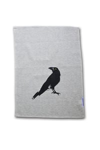 Currawong