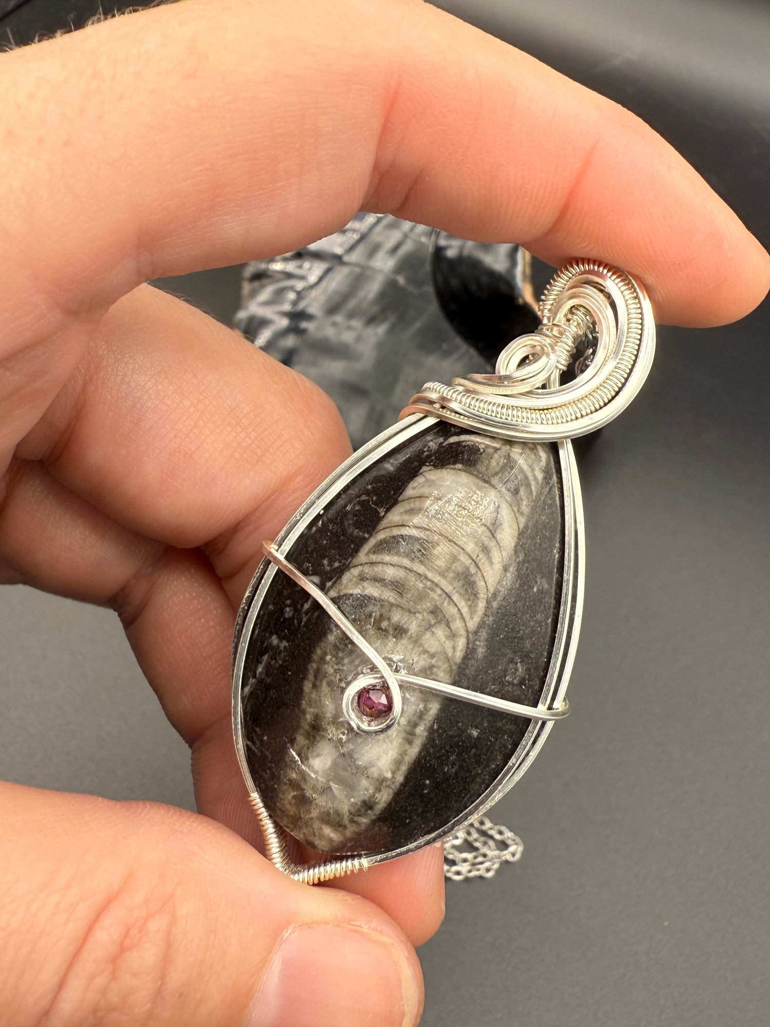 Orthoceras Fossil with Garnet 