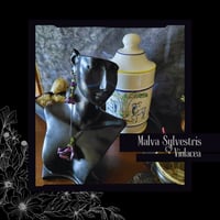 Image 1 of ☽ Malva Violacea ☾