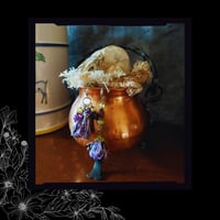 Image 4 of ☽ Malva Violacea ☾