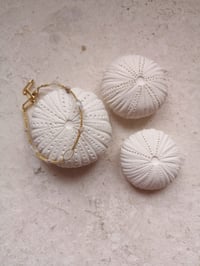 Image 2 of Bracelet #8 ~ EMMY MOA 