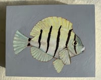 Image 3 of Little Stripey original artwork