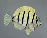 Image 4 of Little Stripey original artwork