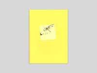 Image 1 of Leo Lunger – Lost