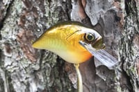 Image 12 of Custom Airbrushed S-CRANK 1.5 Squarebill Crankbait  804