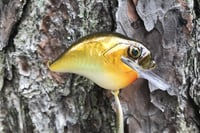 Image 13 of Custom Airbrushed S-CRANK 1.5 Squarebill Crankbait  804