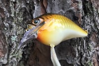 Image 15 of Custom Airbrushed S-CRANK 1.5 Squarebill Crankbait  804